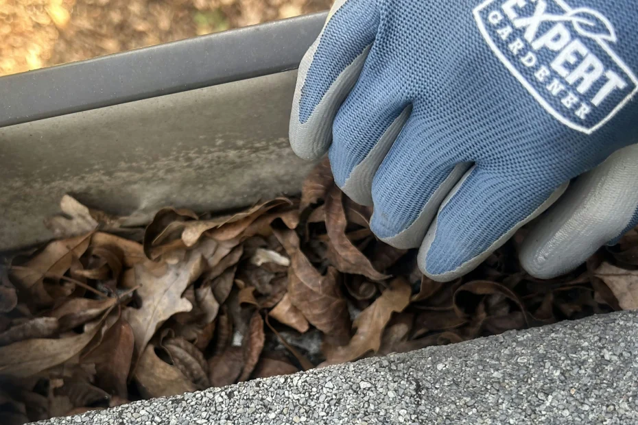 Gutter Cleaning Palm Harbor FL