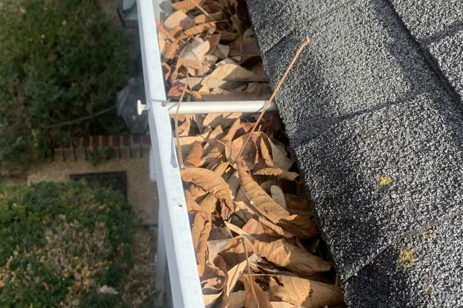 Gutter Cleaning Palm Harbor FL