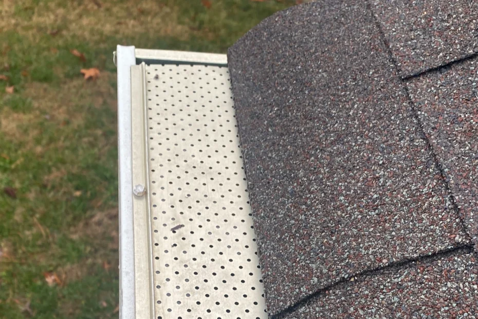 Gutter Cleaning Palm Harbor FL