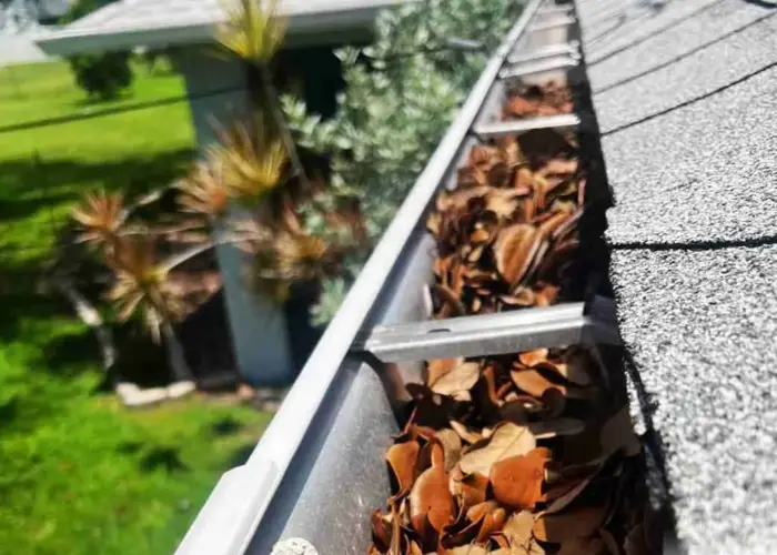 Gutter Cleaning Palm Harbor FL home page